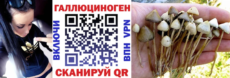 Псилоцибиновые грибы ЛСД Бутурлиновка